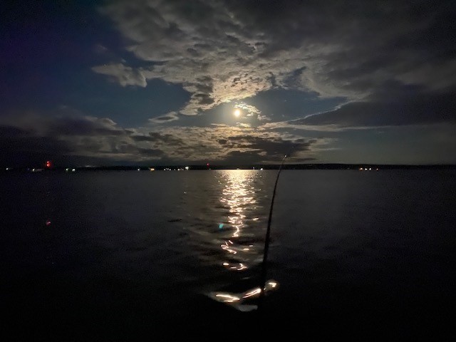 Night view on the lake 2022