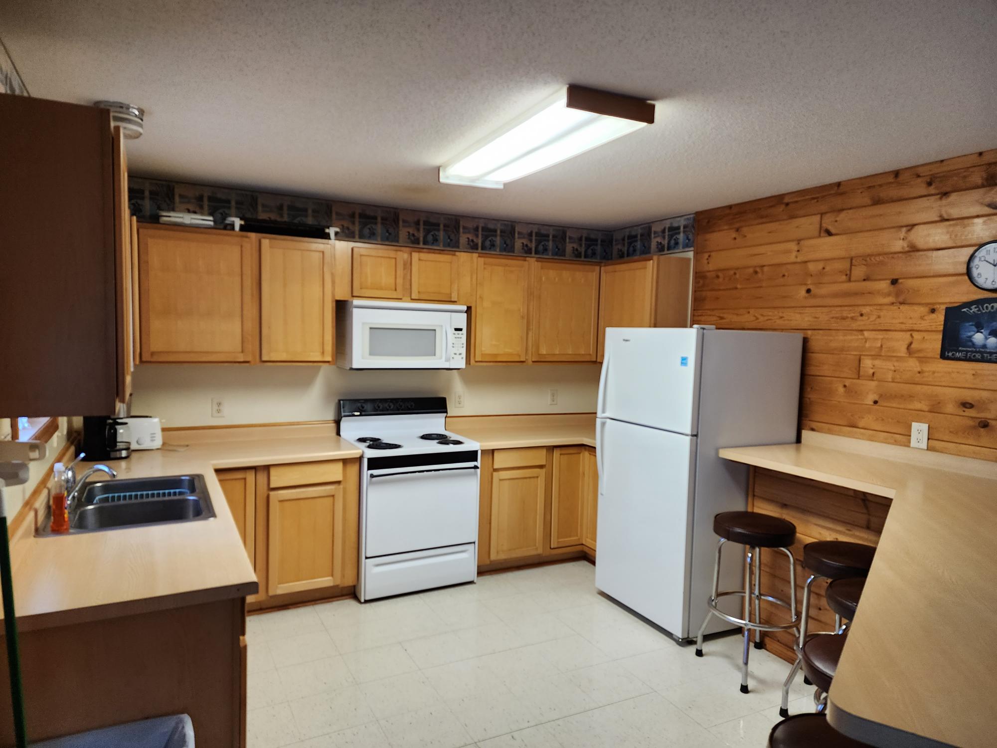 Loon Photo Gallery Oak Point Resort Leech Lake MN Lodging