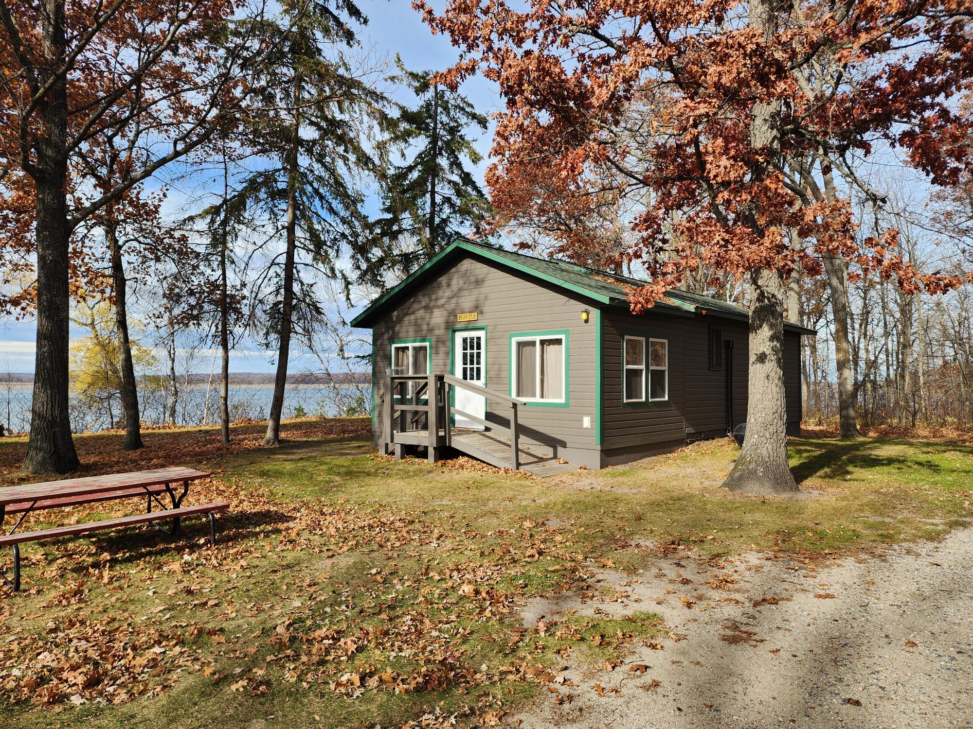 Bear Cub 2025 Fall Photo