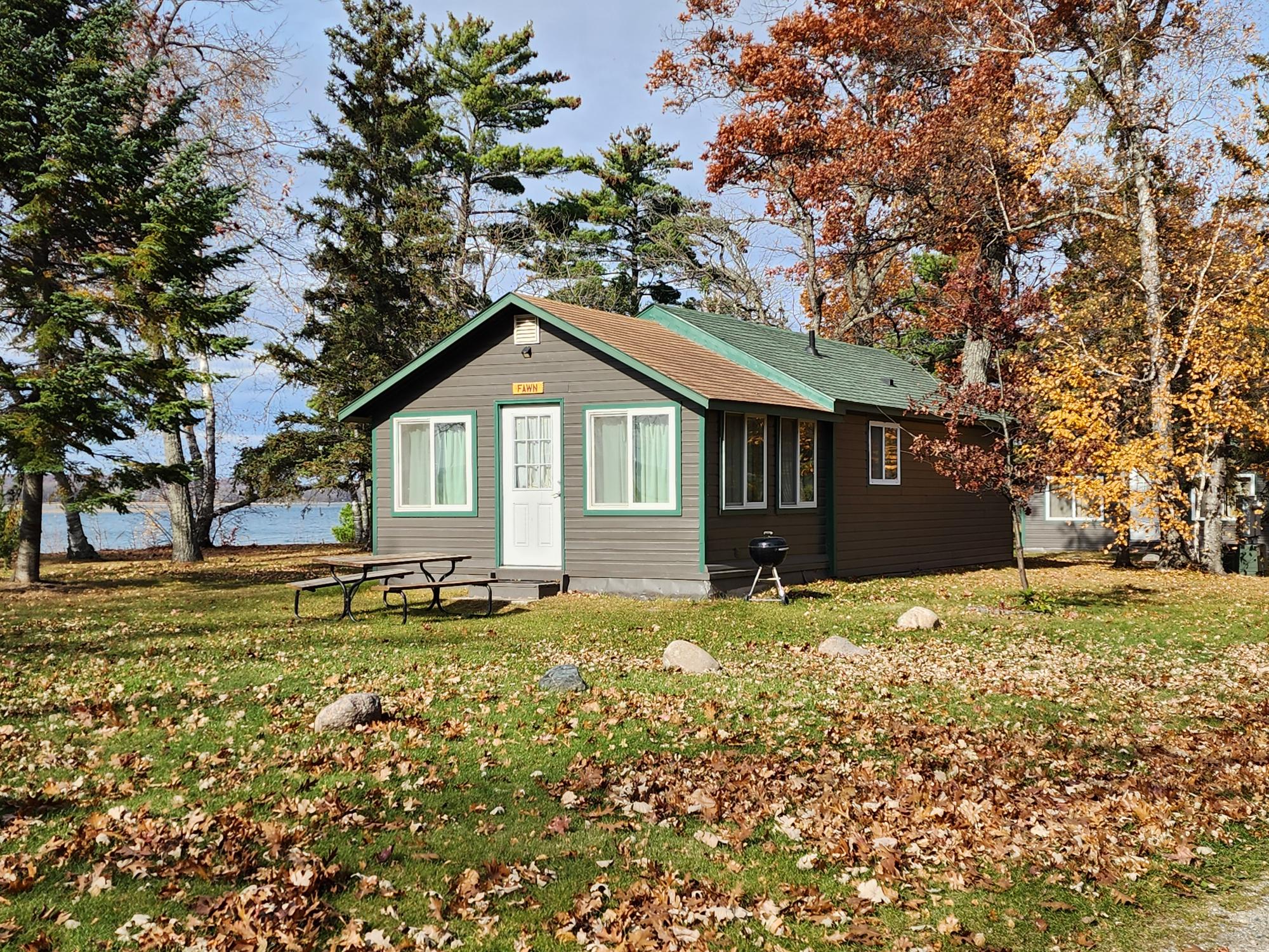 Fawn 2025 Fall Photo 2